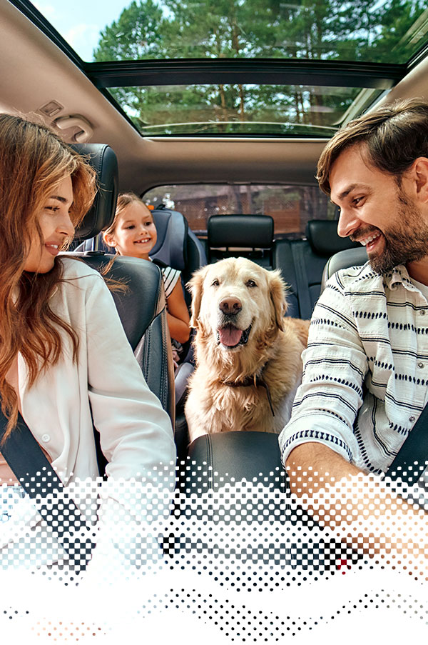 Salariés qui partent en vacances en voiture avec leur chien